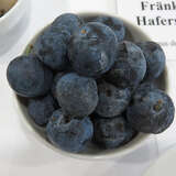 Prunus domestica insititia ’Fränkische Haferschlehe’ - Kriecherl (Schlehe x Kriecherl)