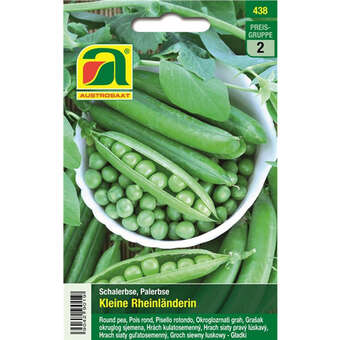 Erbse "Kleine Rheinländerin"