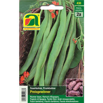Feuerbohne "Preisgewinner (Prijswinner)"
