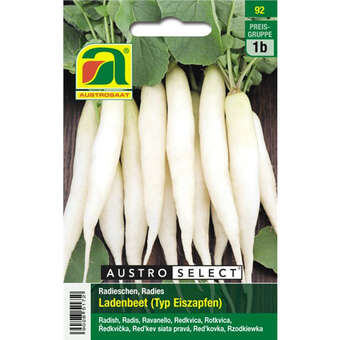 Radieschen "Ladenbeet (Typ Eiszapfen)"