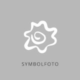 Prunus domestica 'The Czar' - Pflaume